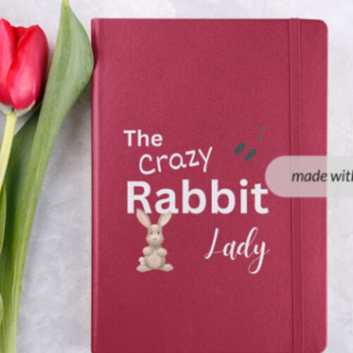 crazy rabbit lady Thumbnail