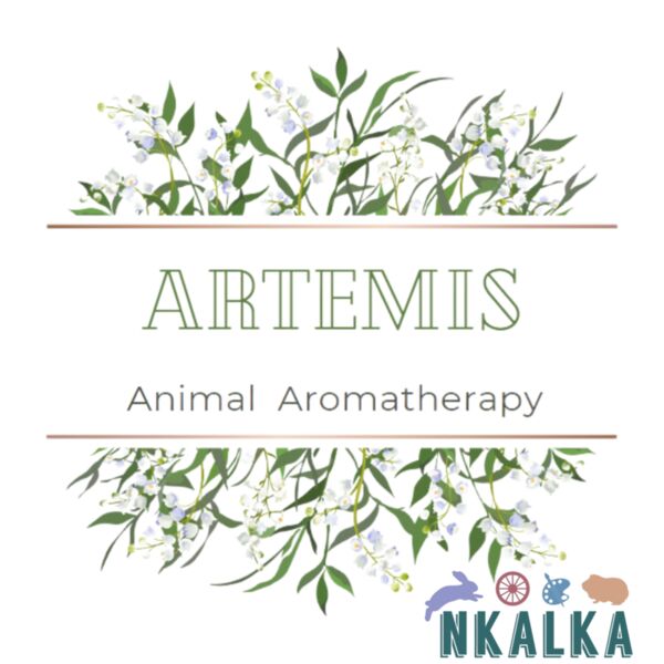 Untitled design  12  Thumbnail